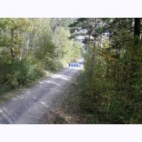 cc010 waling the course.jpg 131.0K